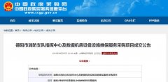 德陽市消防支隊數(shù)據(jù)機房設(shè)備采購項目成交公告